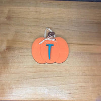 Mini Door with Fall Decor